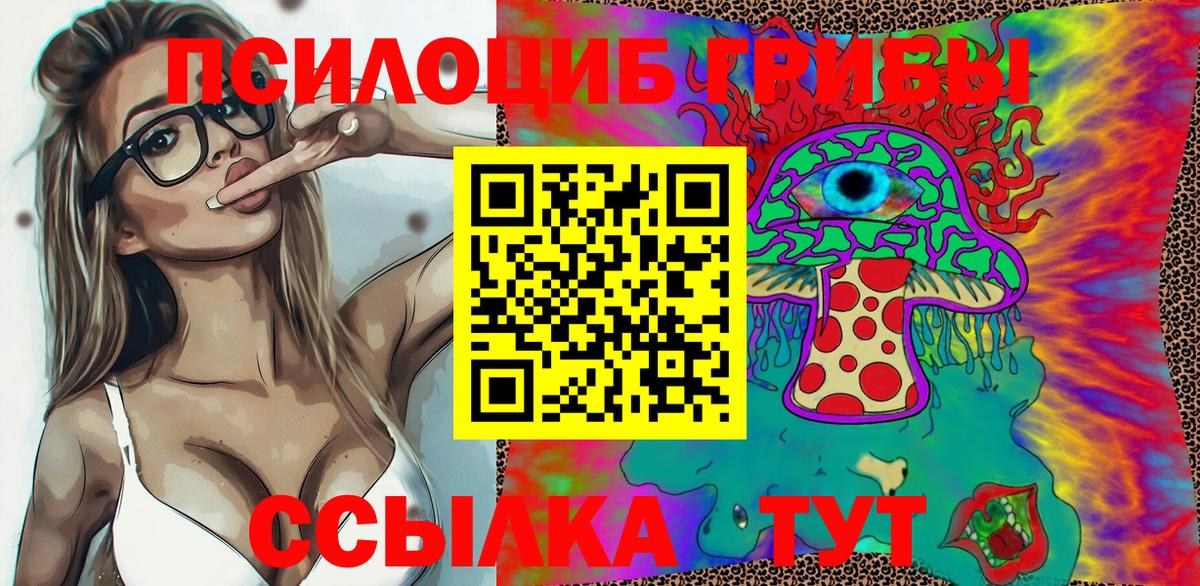 хочу   Вход с VPN  Удомля  Псилоцибиновые грибы MAGIC MUSHROOMS 