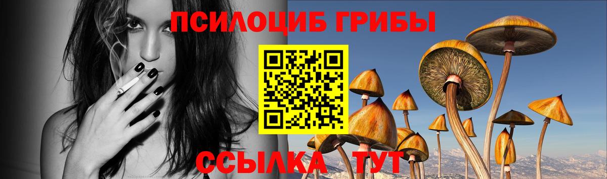 Галлюциногенные грибы Psilocybe Удомля